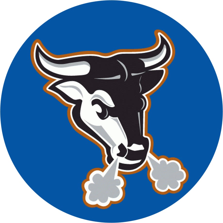 Marietta Bulls logo
